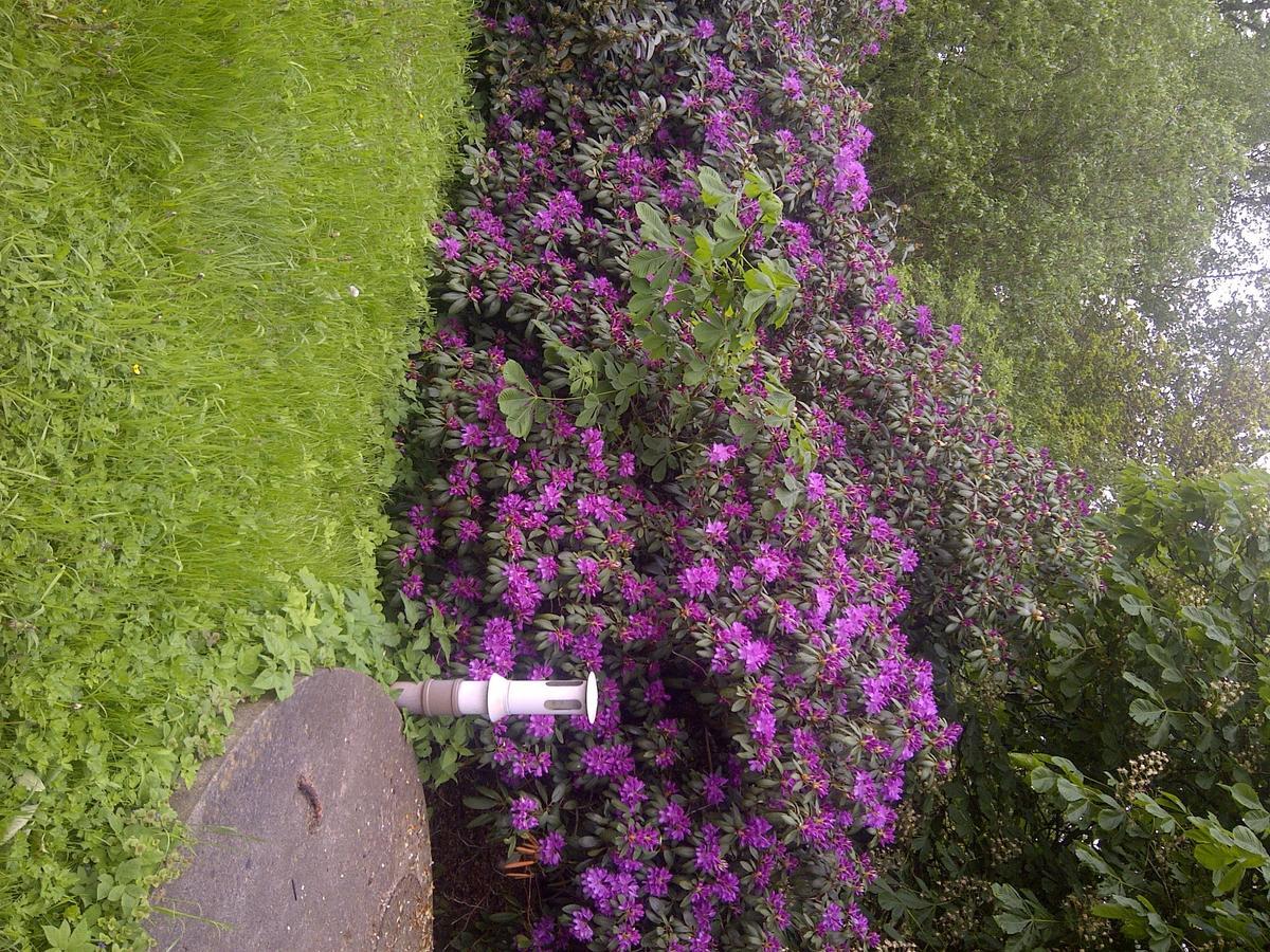 Bed and Breakfast Buntes Moor Grasberg Exterior foto